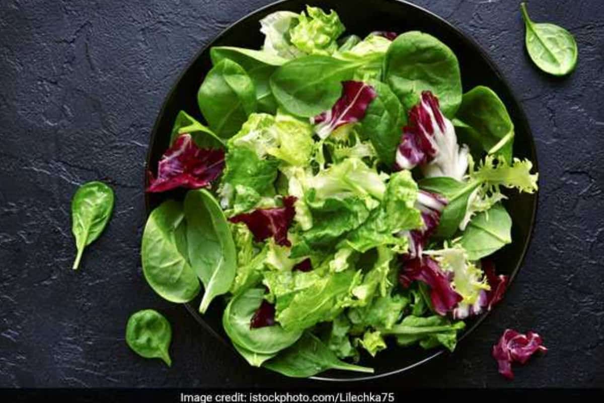 high-protein-diet-this-healthy-salad-with-winter-greens-is-ideal-for-weight-loss